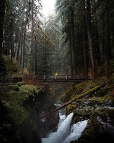 a person standing on a bridge over a river in the woods with trees and rocks