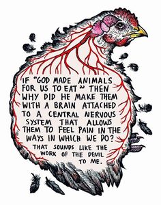 a drawing of a chicken with words written on it's back and the word, if god made animals for us to eat them, why did he make them?