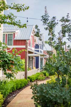 the house is painted red, white and blue