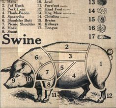 the diagram shows how to cut up a pig's body and neck with numbers on it