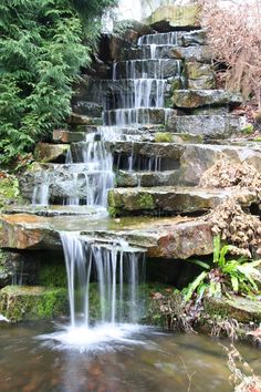 a small waterfall in the middle of a forest filled with lots of rocks and plants