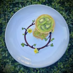 a white plate topped with kiwi slices on top of green leaves