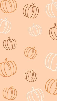 an orange and white pattern with pumpkins on it's sides, all in different colors