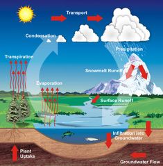 water cycle diagram showing the different types of water and how it is used to clean up