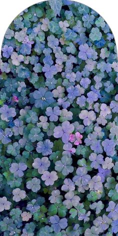 blue and purple flowers with green leaves in the middle