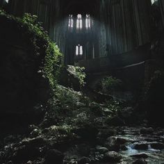 the interior of an old church with moss growing on the rocks and water running through it