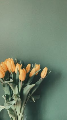 a vase filled with yellow flowers against a green wall