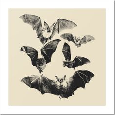 four bats flying in the air with their wings spread out and one bat is upside down