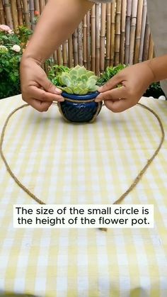 a person holding a succulent plant in a bowl on top of a table