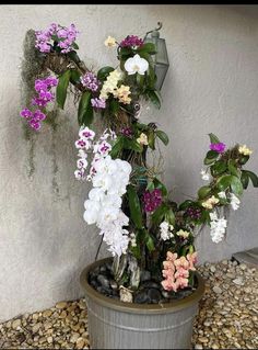 a potted plant with white and purple flowers on rocks in front of a wall