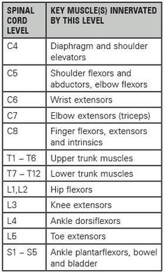 Physical Therapy School, Physical Therapist Assistant, Physical Therapy Assistant, Occupational Therapy Assistant, Medical School Studying, Nursing School Notes, Acute Care, Human Anatomy And Physiology, Medical Anatomy