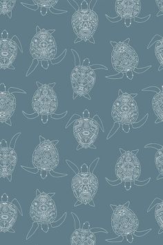 a blue and white wallpaper with many different types of turtles on it's sides