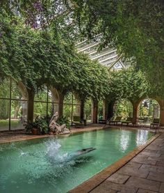 a man diving into a swimming pool surrounded by green plants and trees in the background