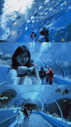 people are swimming in the water at an aquarium