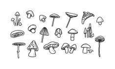 hand drawn mushrooms on white background