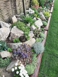 a garden filled with lots of different types of flowers and plants next to a wooden fence