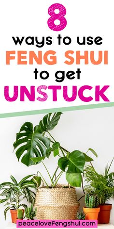 some plants and potted plants with the words 8 ways to use fenc shu to get unstuck