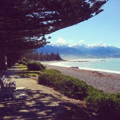 a bench sitting on top of a sandy beach next to the ocean with mountains in the background