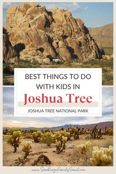 Planning a visit to Joshua Tree with kids? Here are the best things to do in Joshua Tree National Park that are family-friendly, plus tips and information that will make your visit to Joshua Tree National Park amazing for the entire family. Joshua Tree National Park With Kids, California Attractions, Twentynine Palms, Spring Getaway, Nature Museum, Family Getaways, Drive In Movie, Spring Trip, Joshua Tree National Park