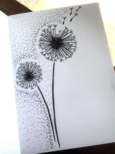 a black and white drawing of two dandelions on a sheet of paper with water droplets