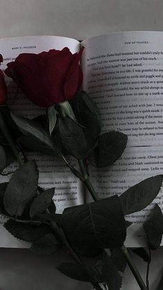 a red rose sitting on top of an open book