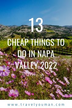 purple flowers with the words 13 cheap things to do in napa valley