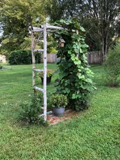 an old ladder is covered with vines and potted plants on the lawn in front of a fence