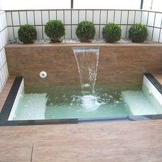 a small pool with water running from it and plants in the back ground, along with two potted topiary's on either side