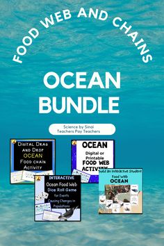 Food webs and chains of the ocean bundle of activities Food Web, Study History