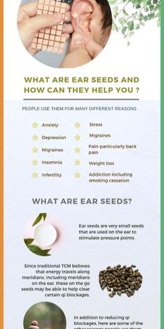 What are ear seeds in Chinese medicine and how they can help you. Where to buy ear seeds in London. Simply click on the image to find out more or visit www.tcmblog.co.uk Ear Acupressure Points, Traditional Chinese Medicine Acupuncture, Tcm Traditional Chinese Medicine, Ear Reflexology, Ear Seeds, Mid Back Pain, Back Pain Remedies, Ear Health, Natural Pain Relief