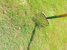 an aerial view of a garden rake in the grass