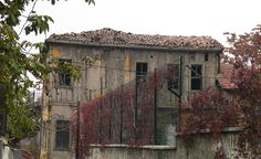 an old building with vines growing on it