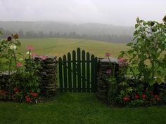 an image of a fence with flowers in the foreground and a field behind it