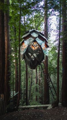 a tree house in the middle of a forest