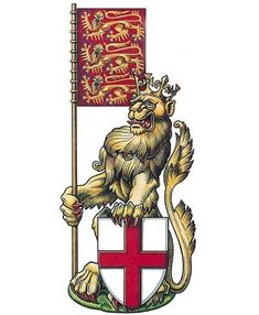 a coat of arms with a lion holding a red and white flag on it's side