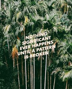 there is a sign that says nothing significant ever happens until a pattern is broken in the palm trees