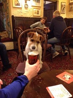 a dog sitting at a table with a cup in it's mouth while people sit around