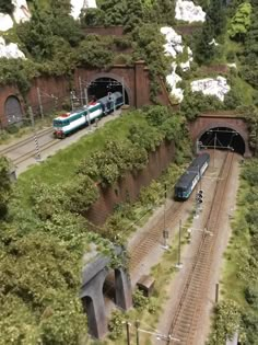 a train traveling through a tunnel next to lush green trees and bushes on top of tracks