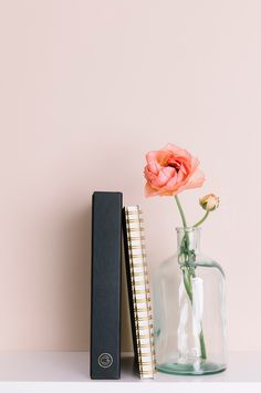 a pink flower sitting in a vase next to a book on a white shelf against a pink wall