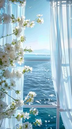 white flowers are growing on the window sill by the water and sun shining through