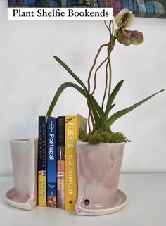 there is a plant in a pink vase next to some books on a shelf with the title plant shelf bookends