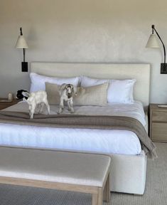 a dog standing on top of a bed next to a night stand with two lamps