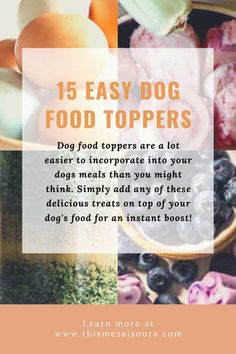 a bowl full of food with the words, 15 easy dog food toppers