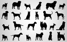 the silhouettes of dogs are shown in black and white