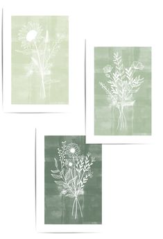 wildflower prints in sage green colours Christmas Wall Art Canvas, Sage Green Background, Sage Green Wall Art, Sage Green Wall, Sage Green Walls, Green Wall Art, Christmas Wall Art, Visual Artwork, Green Wall