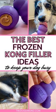 the best frozen kong filler ideas to keep your dog busy