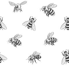 black and white bees on a white background