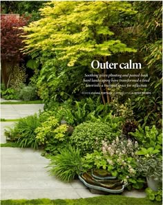 a garden with lots of green plants and flowers on it's sides, the words outer calm written in white