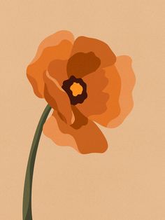 an orange flower on a beige background