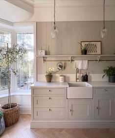 a white kitchen with lots of windows and plants on the counter top in front of it